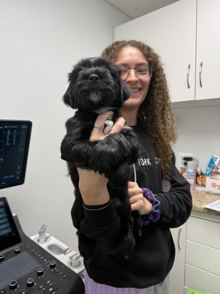 A young woman holding a puppy at the vet for a wellness check