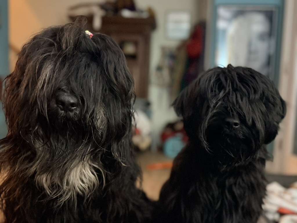 Toots and Elliott side by side