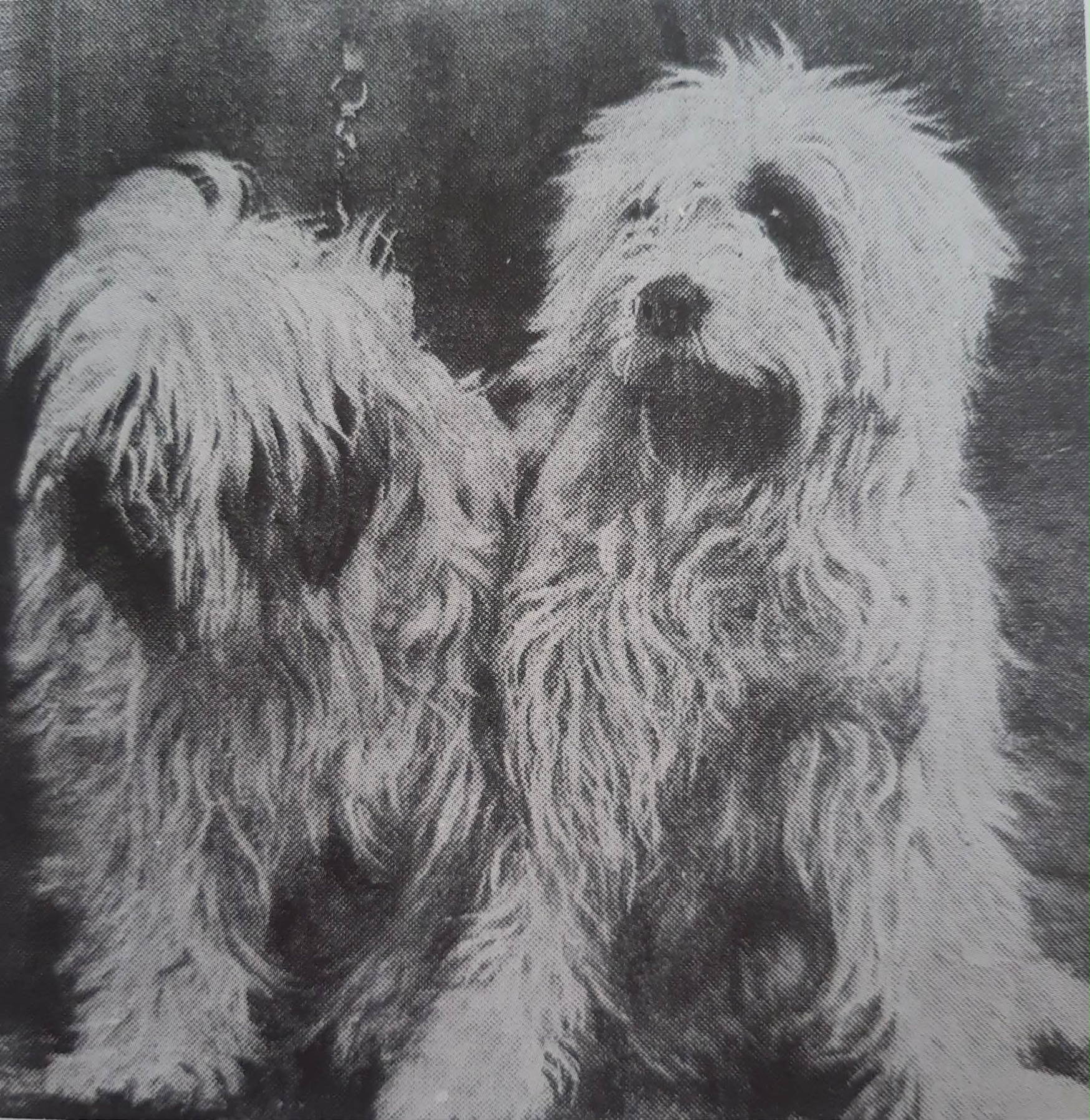 Bunti and her daughter Chota Tukra of Ladkok in a vintage illustration